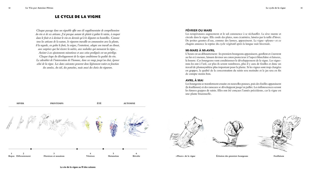 Le vin par Antoine Pétrus