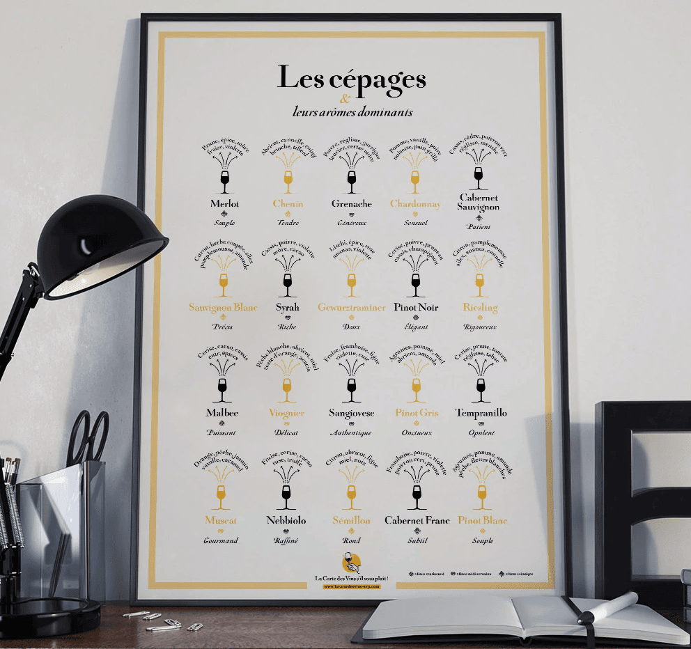Les cépages et leurs arômes dominants