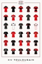 Affiche Maillot Toulouse