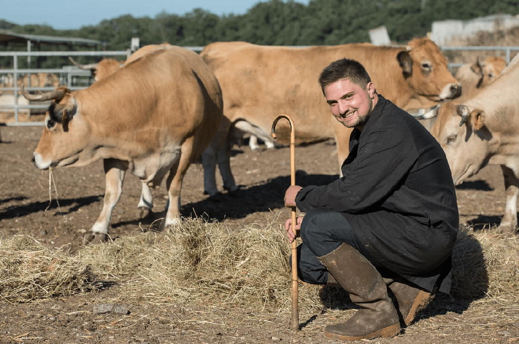 Colis de Bœuf de l'Aubrac