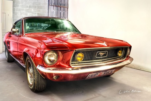 [90-DL1000] Mustang GT Fast back 1967