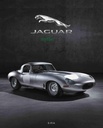 Jaguar, le mythe anglais